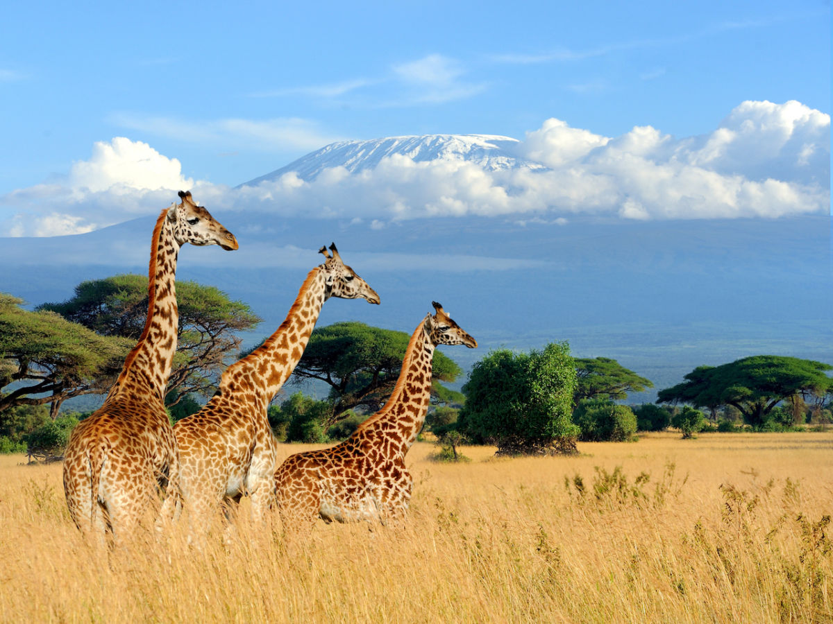 Kenya