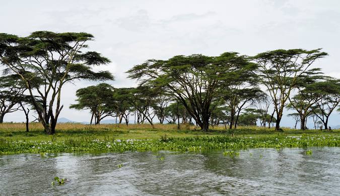 Naivasha