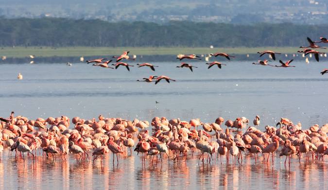 Nakuru